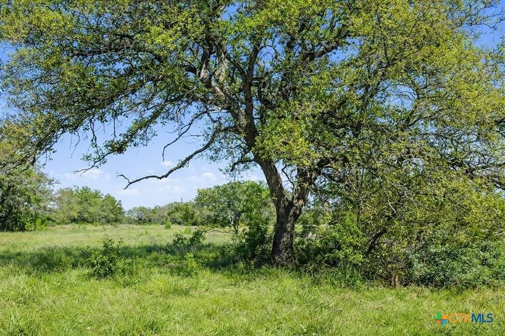 27.15 acres in Blanco County gallery image 4