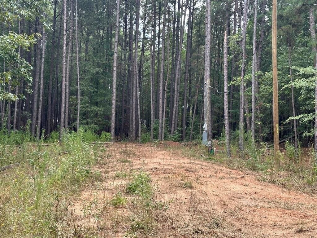 2 acres in Titus County gallery image 3