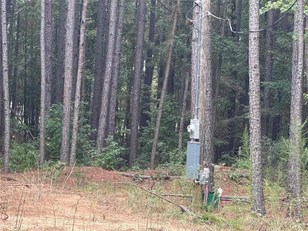 2 acres in Titus County gallery image 4