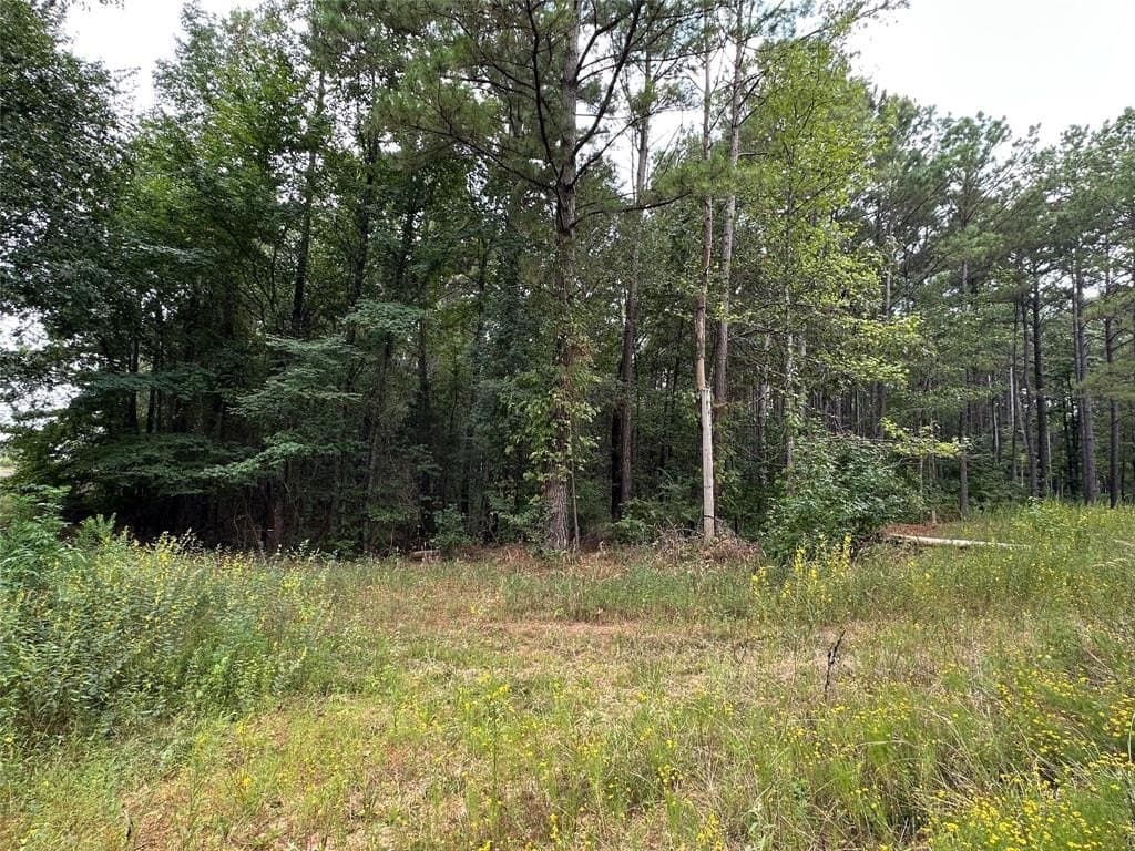 2 acres in Titus County gallery image 2