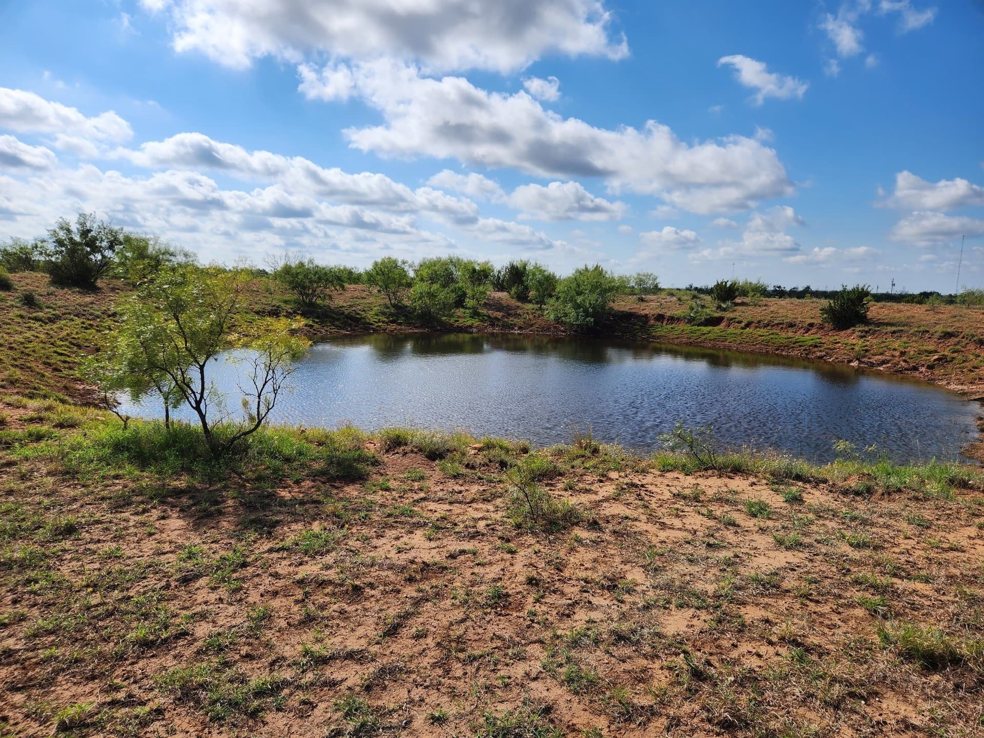 155 acres in Coleman County featured view