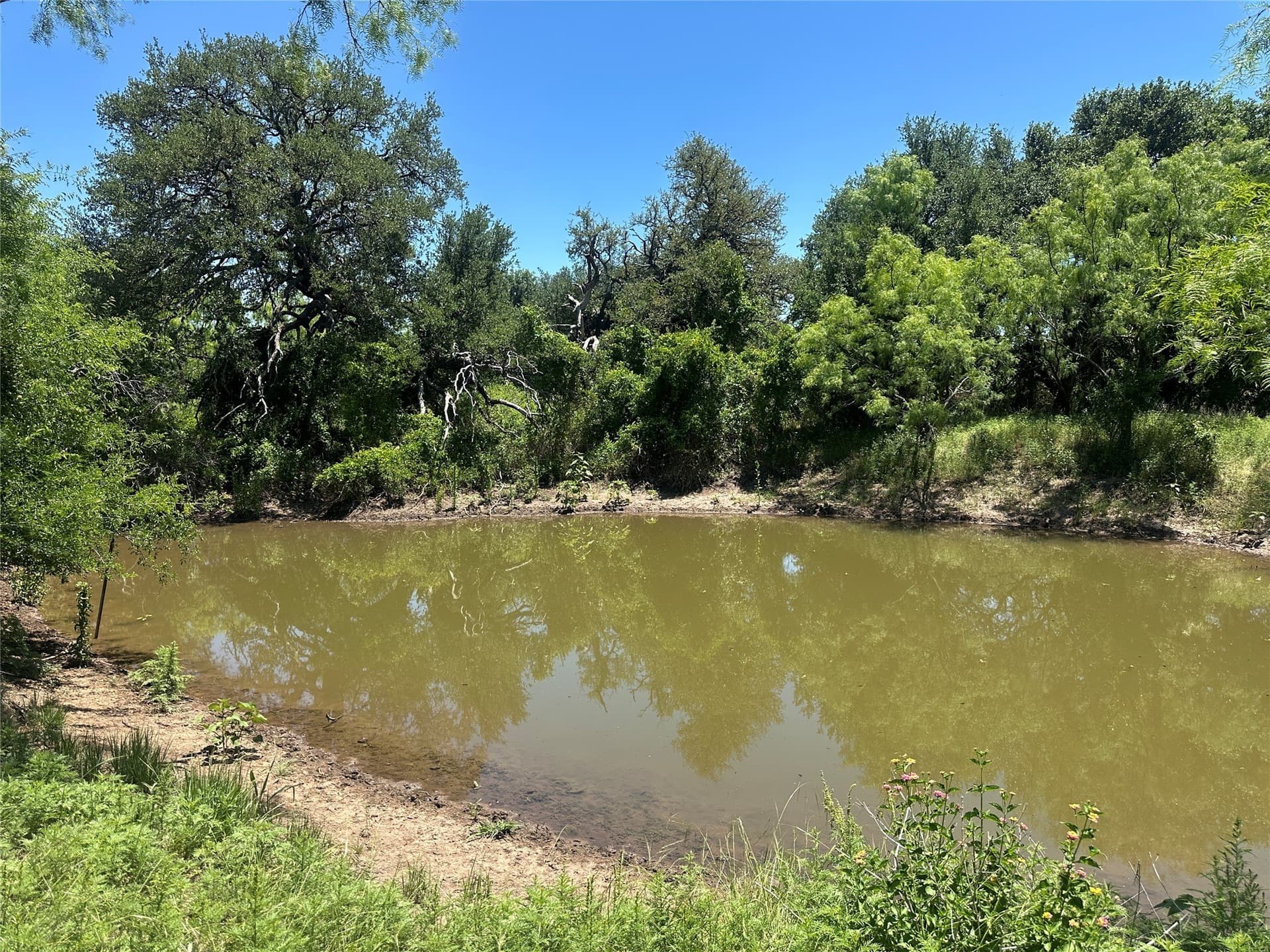 155 acres in Coleman County - photo 8