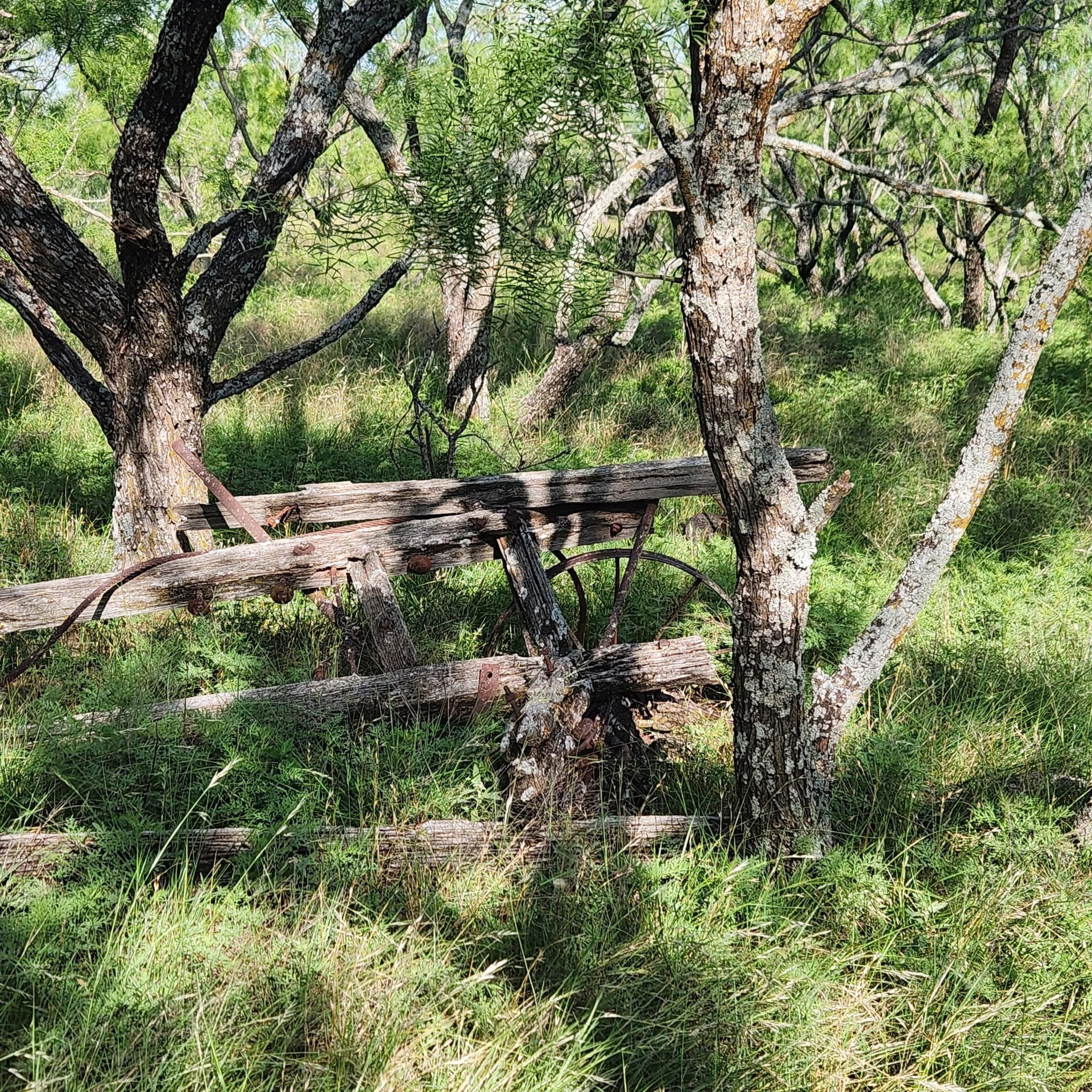 155 acres in Coleman County - photo 22