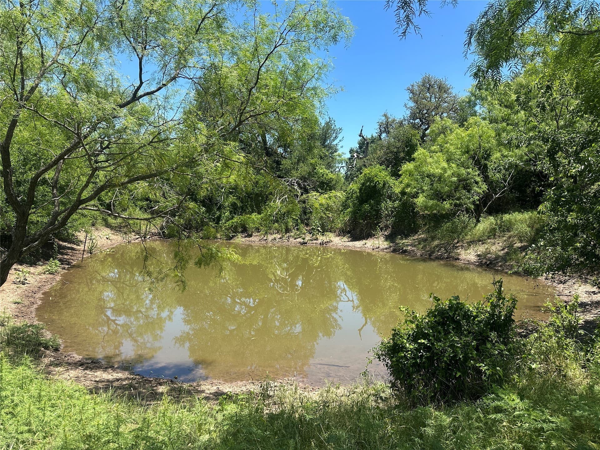 155 acres in Coleman County - photo 7