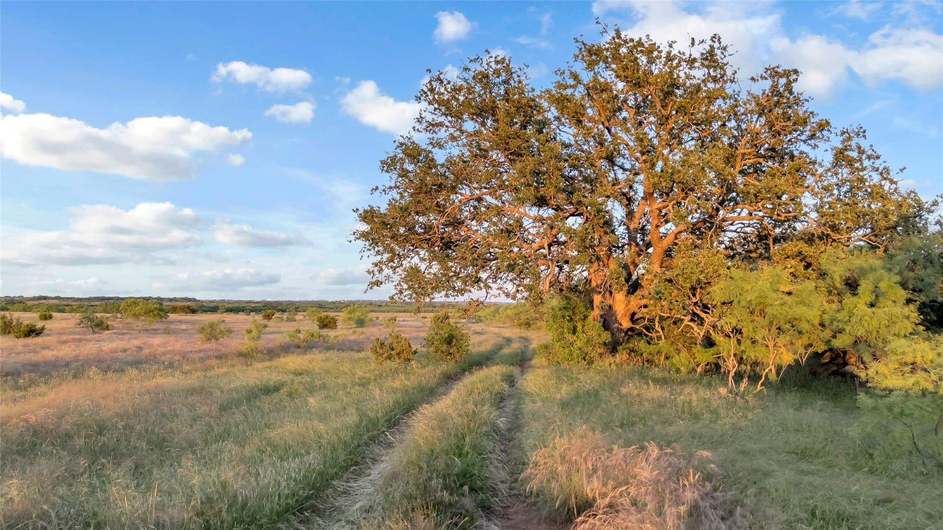 155 acres in Coleman County - photo 6