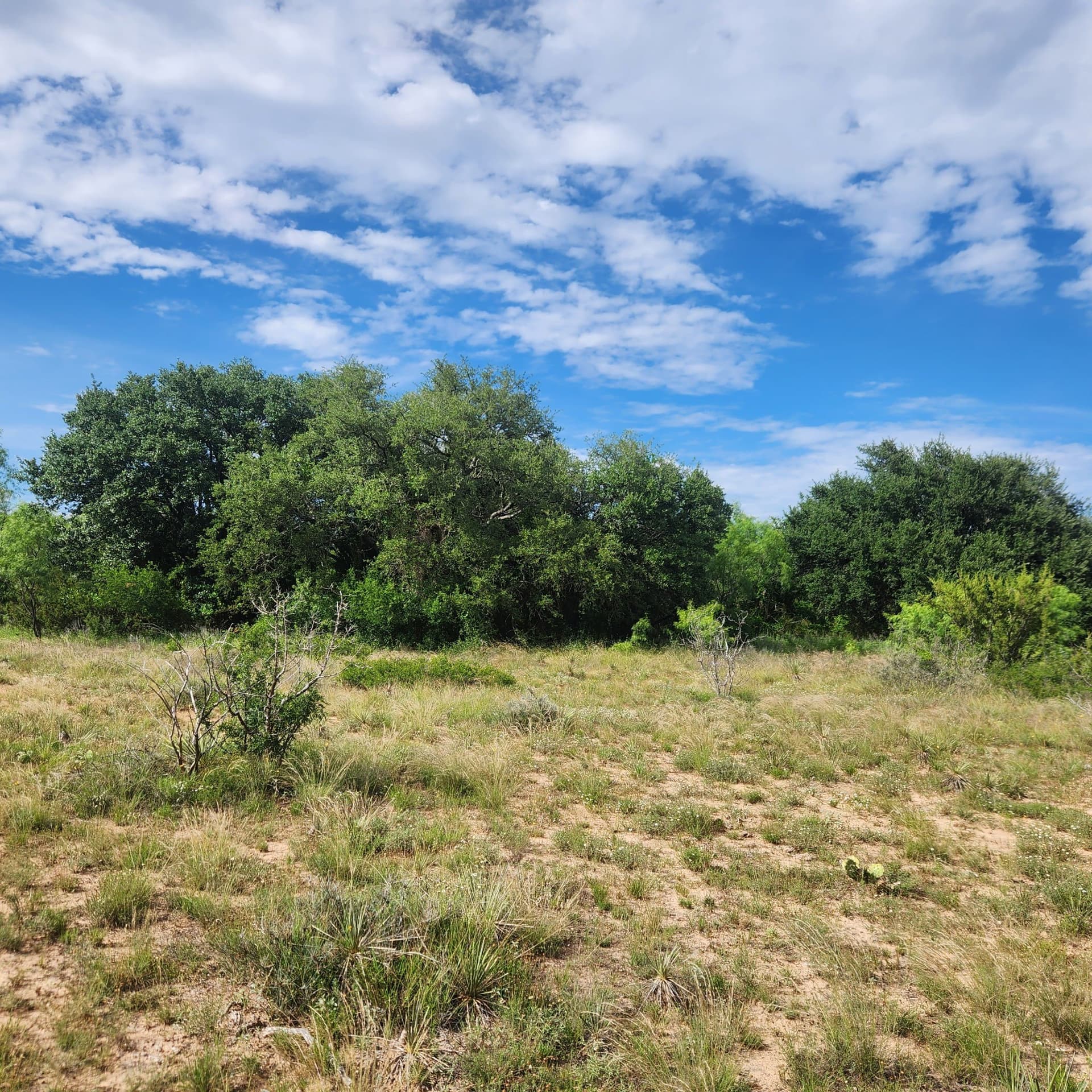 155 acres in Coleman County - photo 24