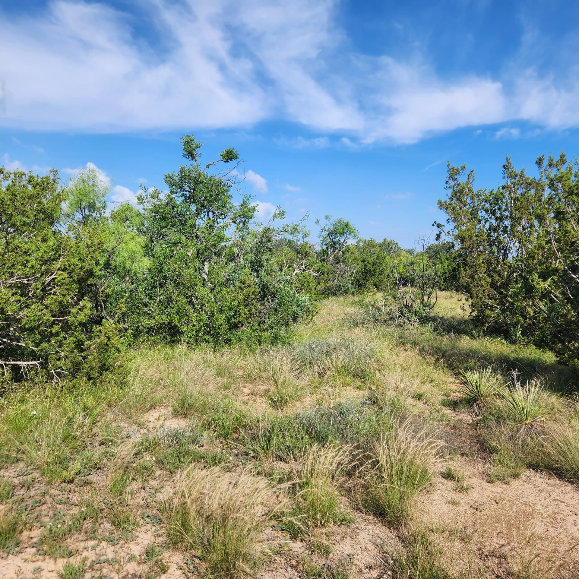 155 acres in Coleman County - photo 21