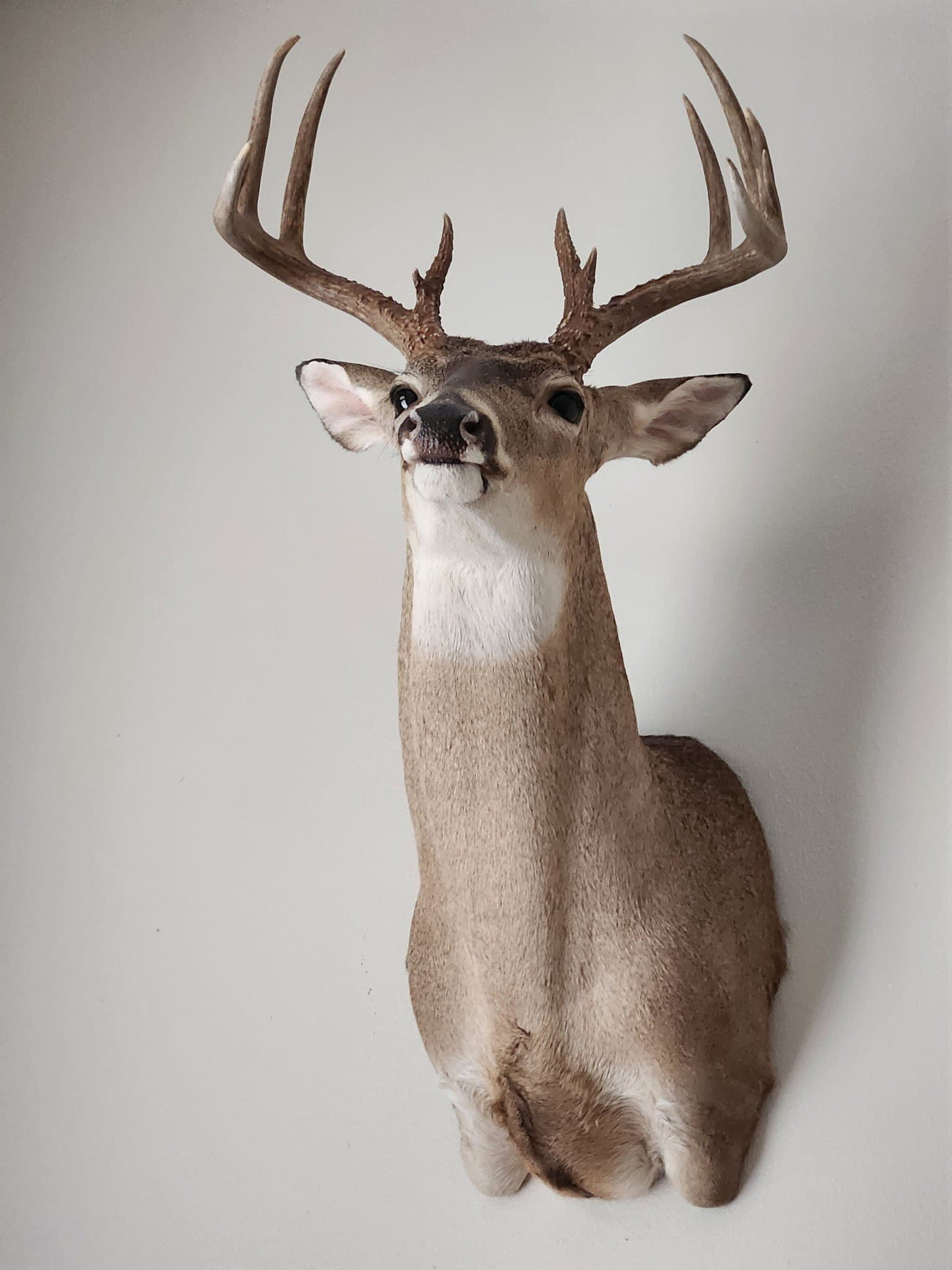 155 acres in Coleman County - photo 13