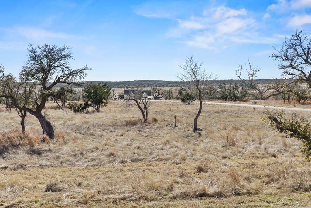 2.3 acres in Gillespie County gallery image 3