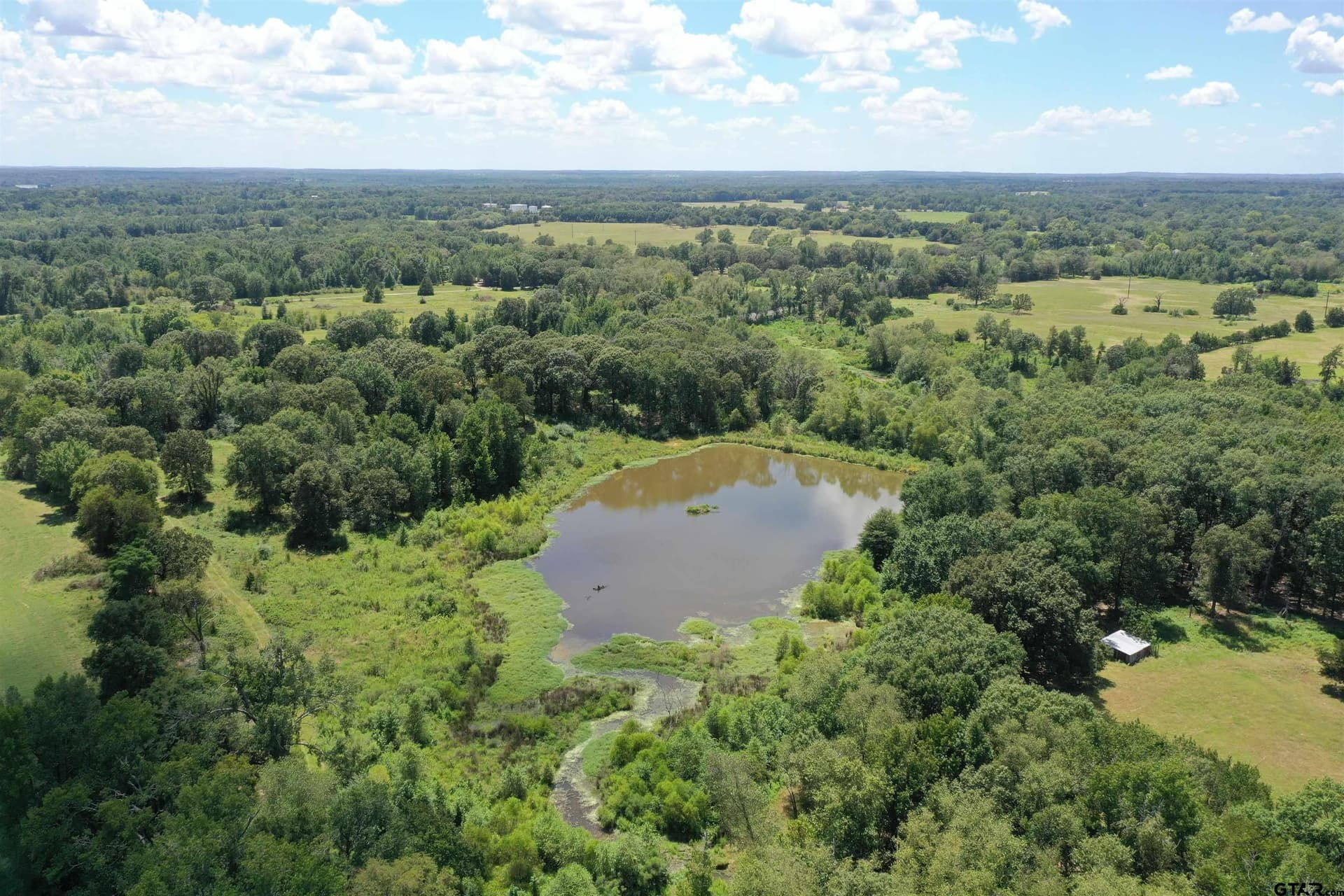 93.11 acres in Camp County gallery image 2