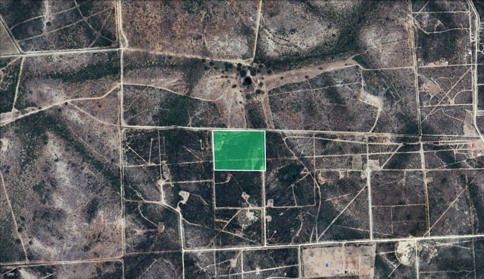 10.38 acres in Live Oak County gallery image 3