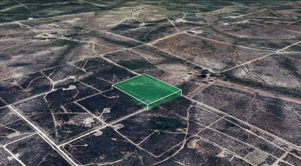 10.38 acres in Live Oak County gallery image 4