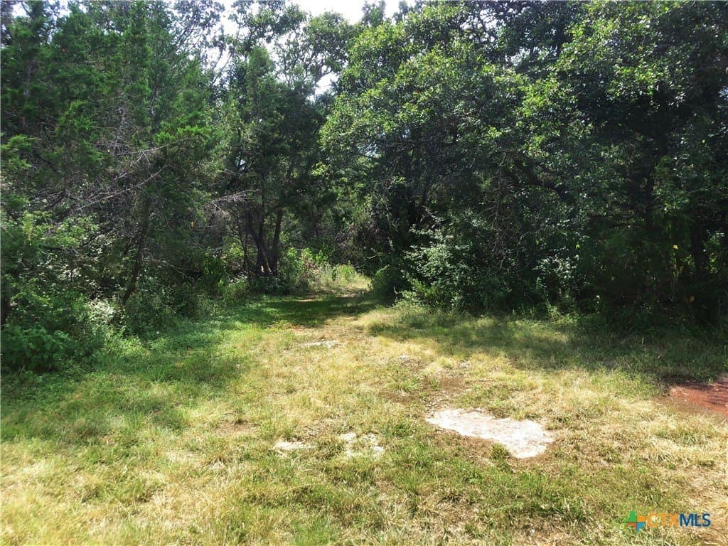 1.15 acres in Bell County - photo 7