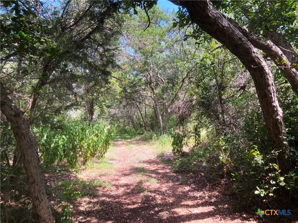 1.15 acres in Bell County - photo 10