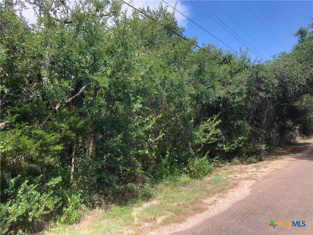 1.15 acres in Bell County - photo 11