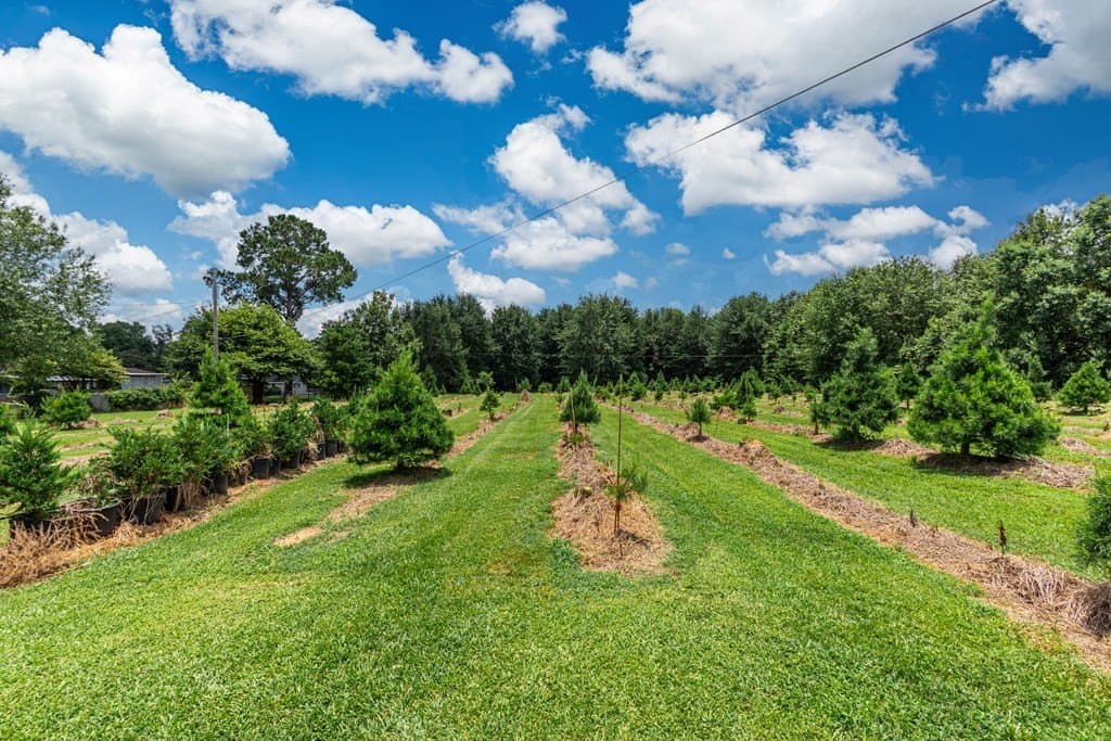 6.97 acres in Texas County - photo 22