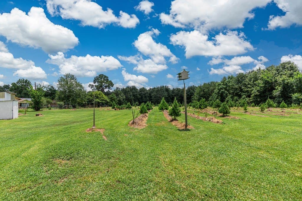 6.97 acres in Texas County - photo 21