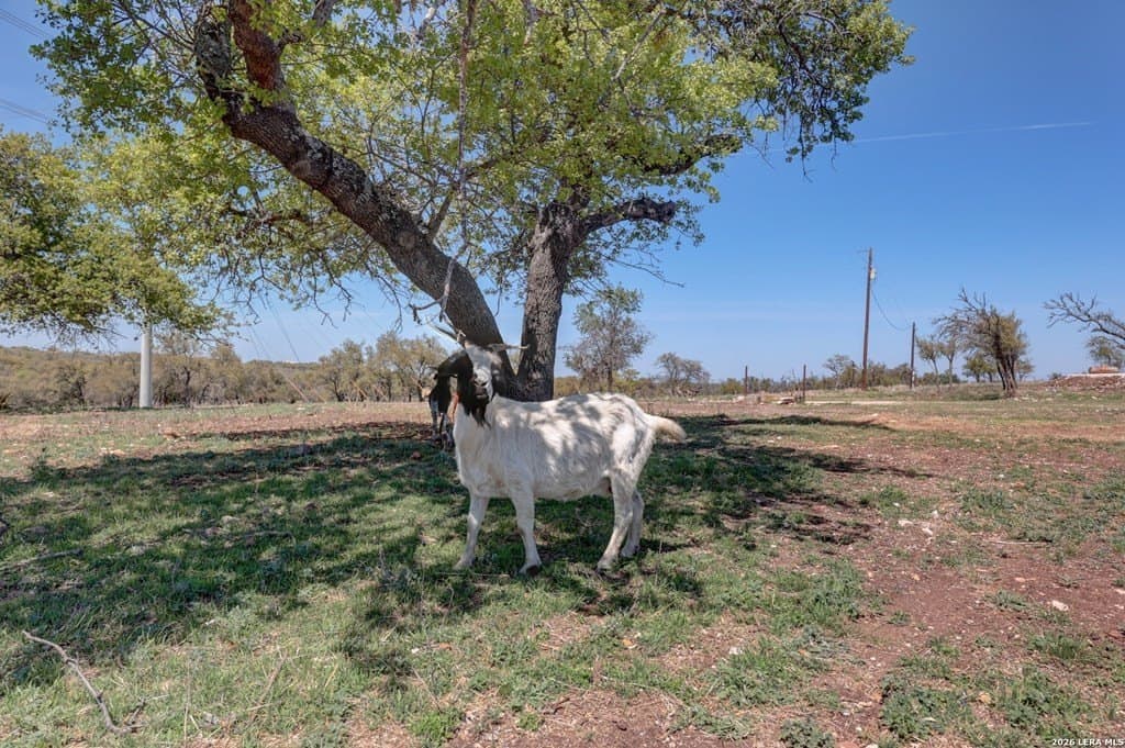 30.52 acres in Gillespie County - photo 36