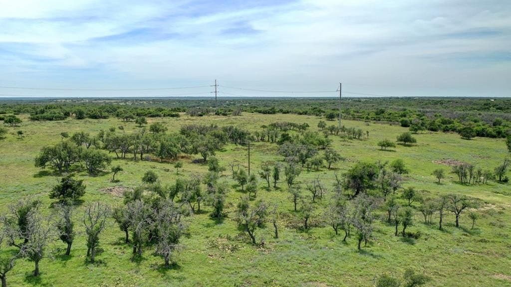 30.52 acres in Gillespie County - photo 17