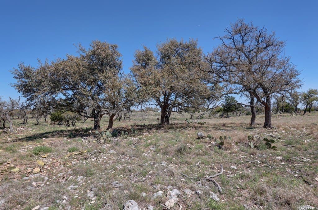 30.52 acres in Gillespie County - photo 22