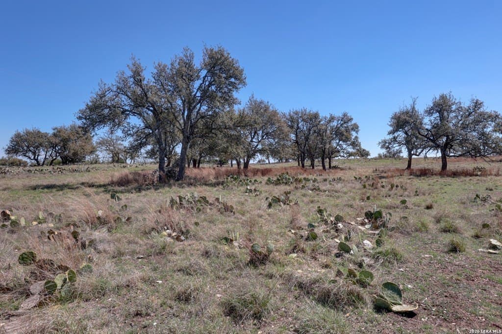 30.52 acres in Gillespie County - photo 33