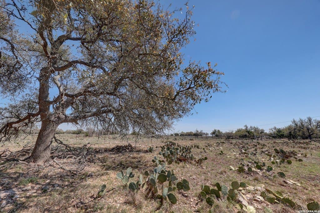 30.52 acres in Gillespie County - photo 34