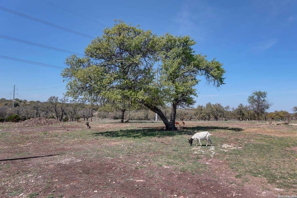 30.52 acres in Gillespie County - photo 35