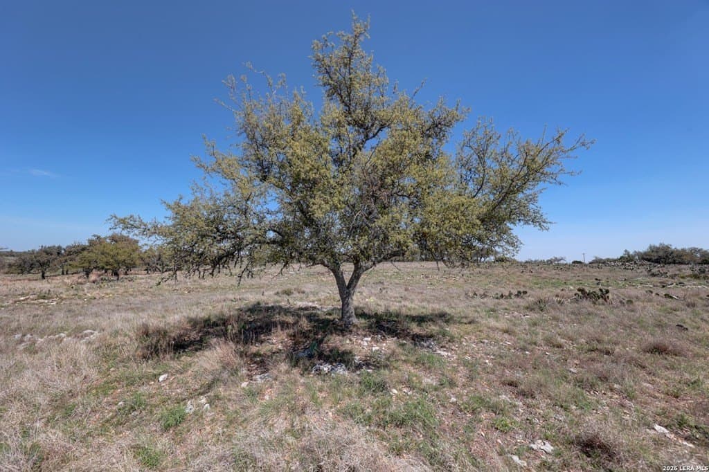 30.52 acres in Gillespie County - photo 20