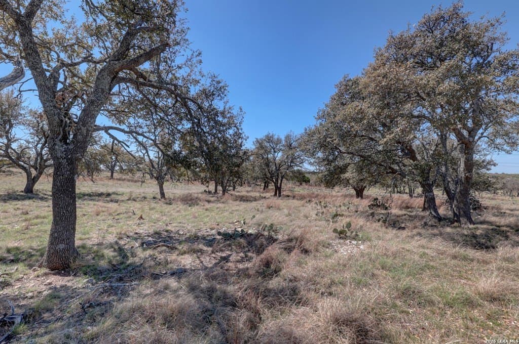 30.52 acres in Gillespie County - photo 23