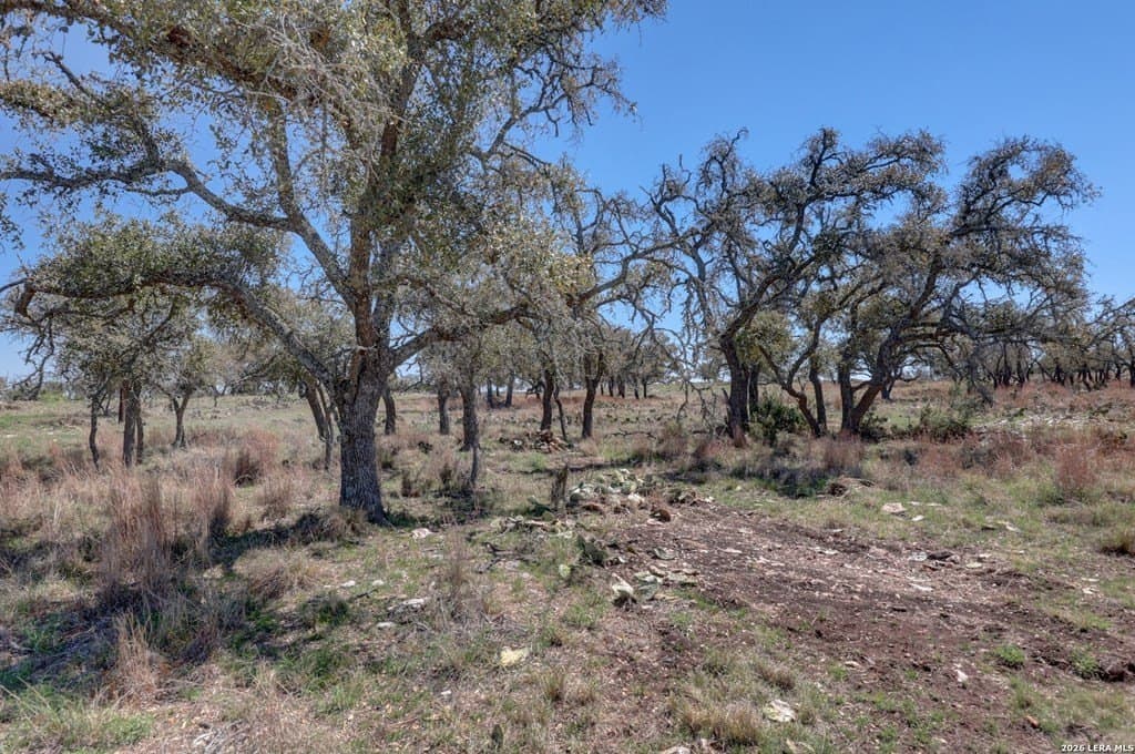 30.52 acres in Gillespie County - photo 32