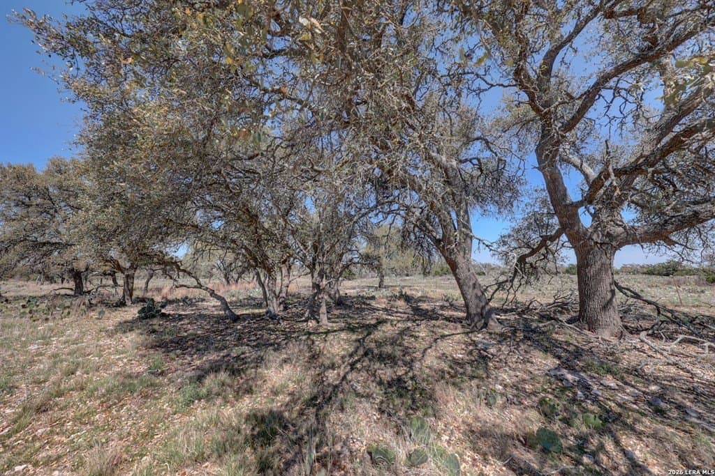 30.52 acres in Gillespie County - photo 21