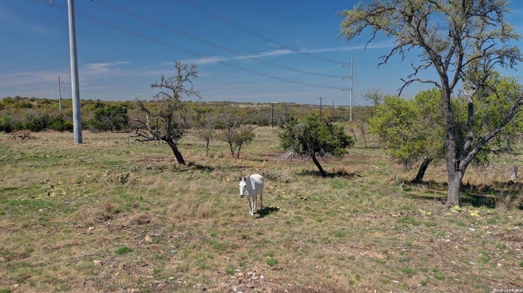 30.52 acres in Gillespie County - photo 50