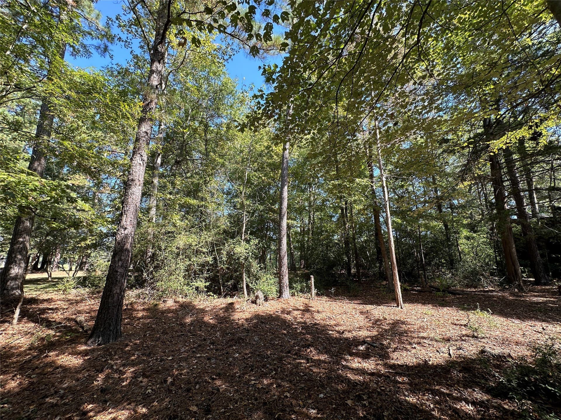 0.37 acres in Wood County - photo 10