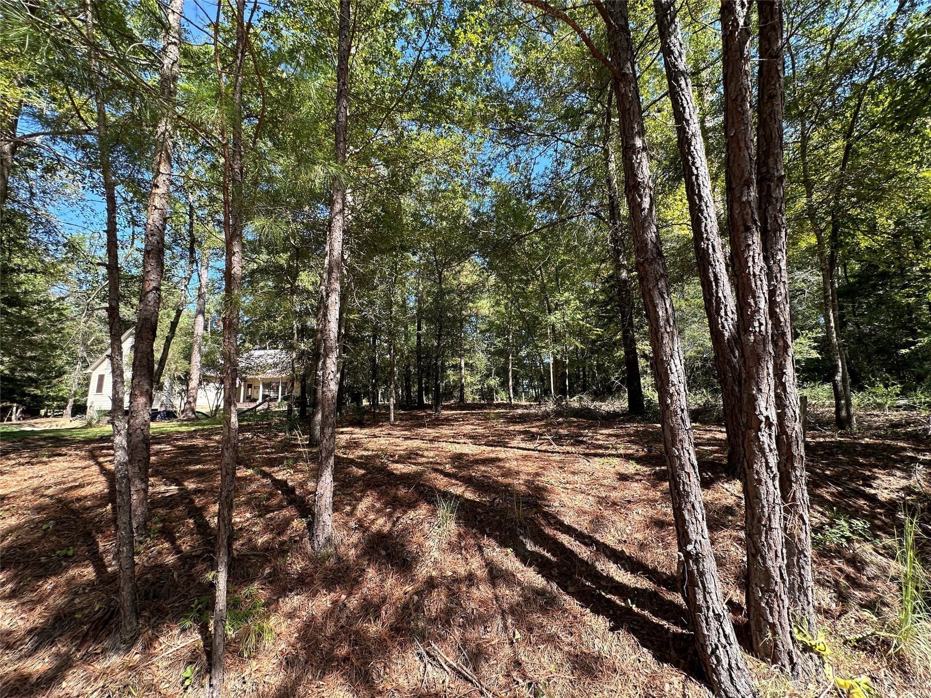 0.37 acres in Wood County - photo 33