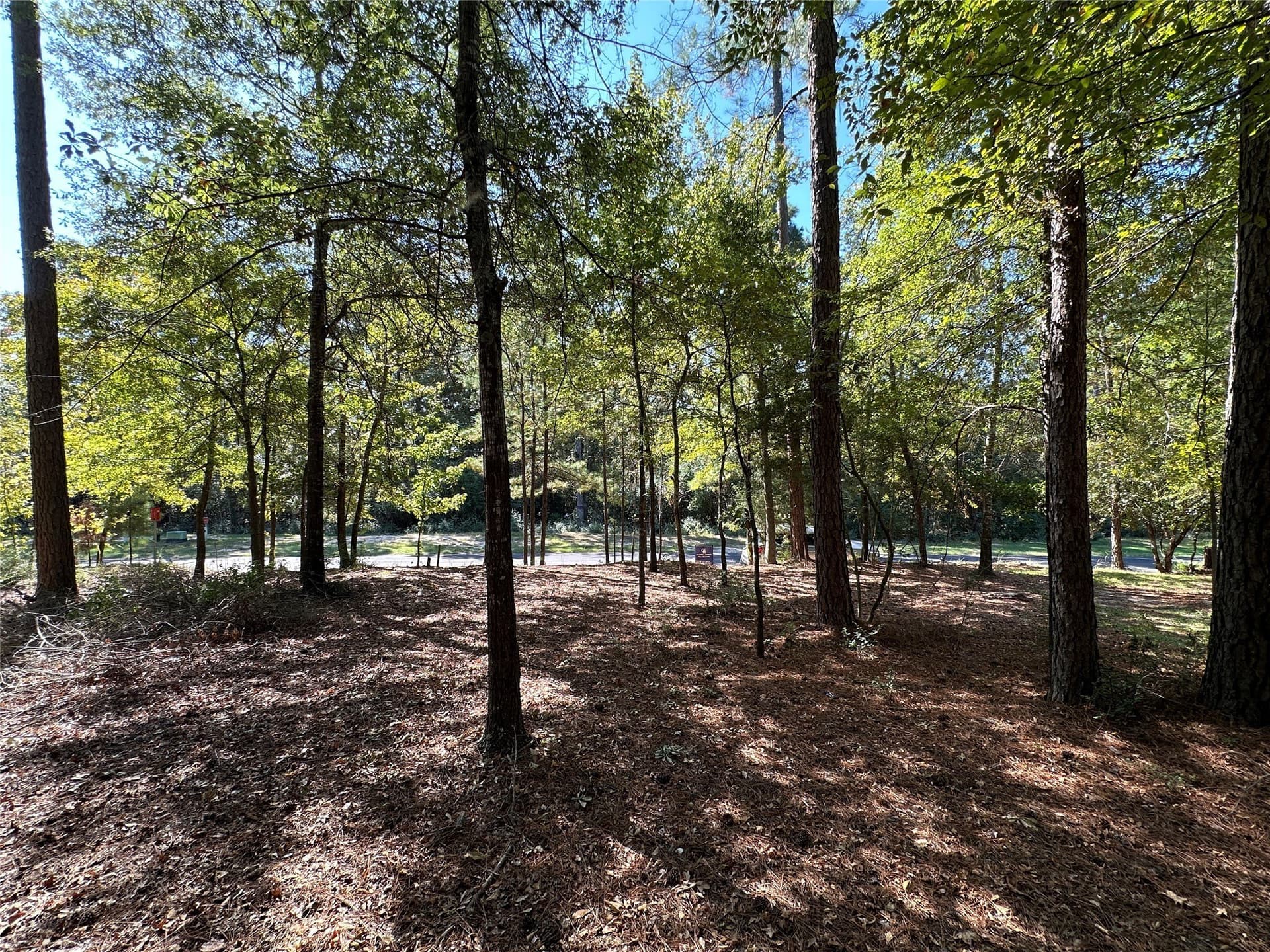 0.37 acres in Wood County - photo 30