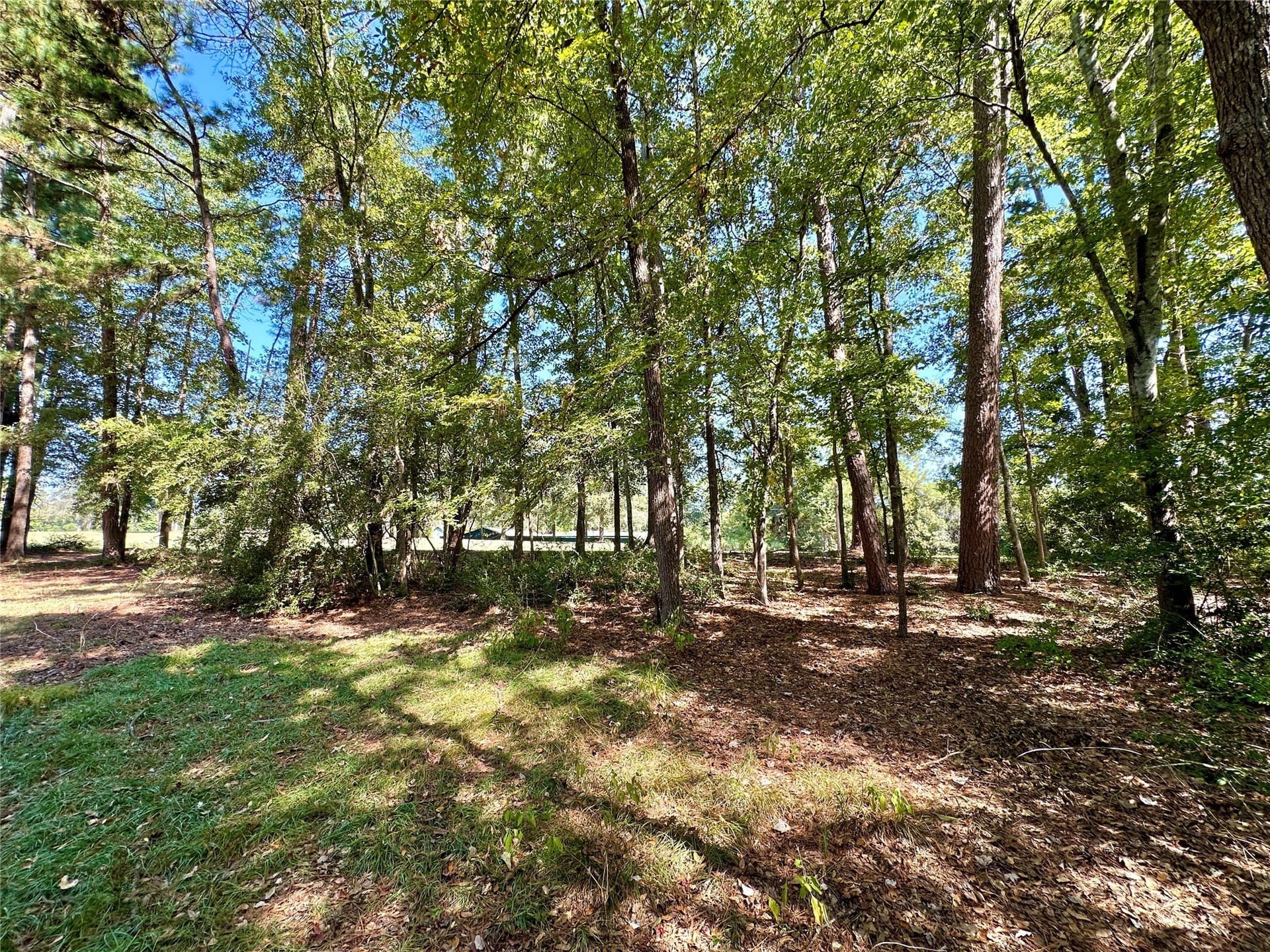 0.37 acres in Wood County - photo 4