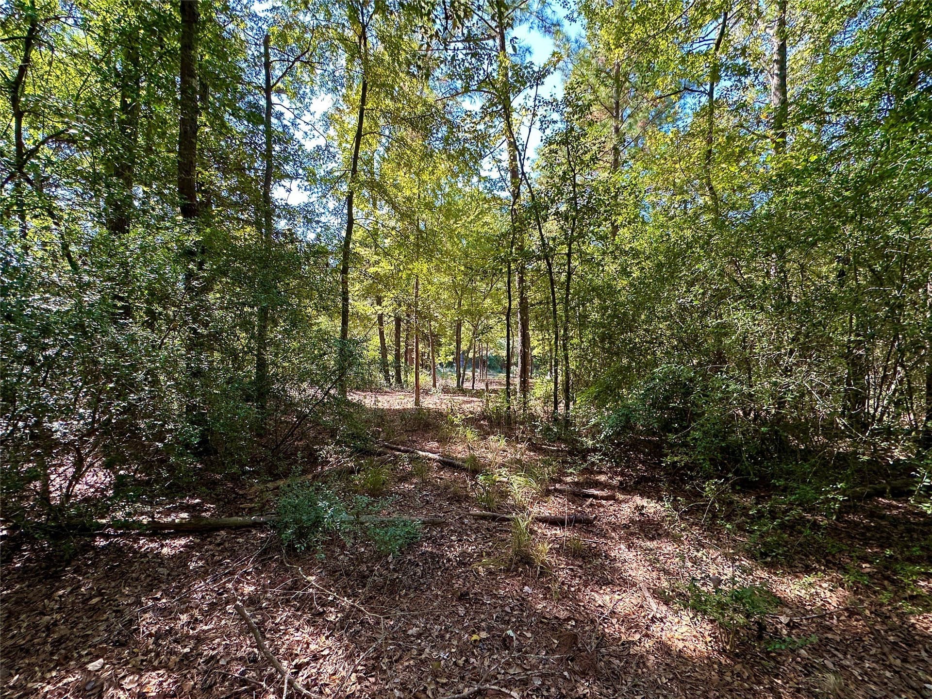 0.37 acres in Wood County - photo 26