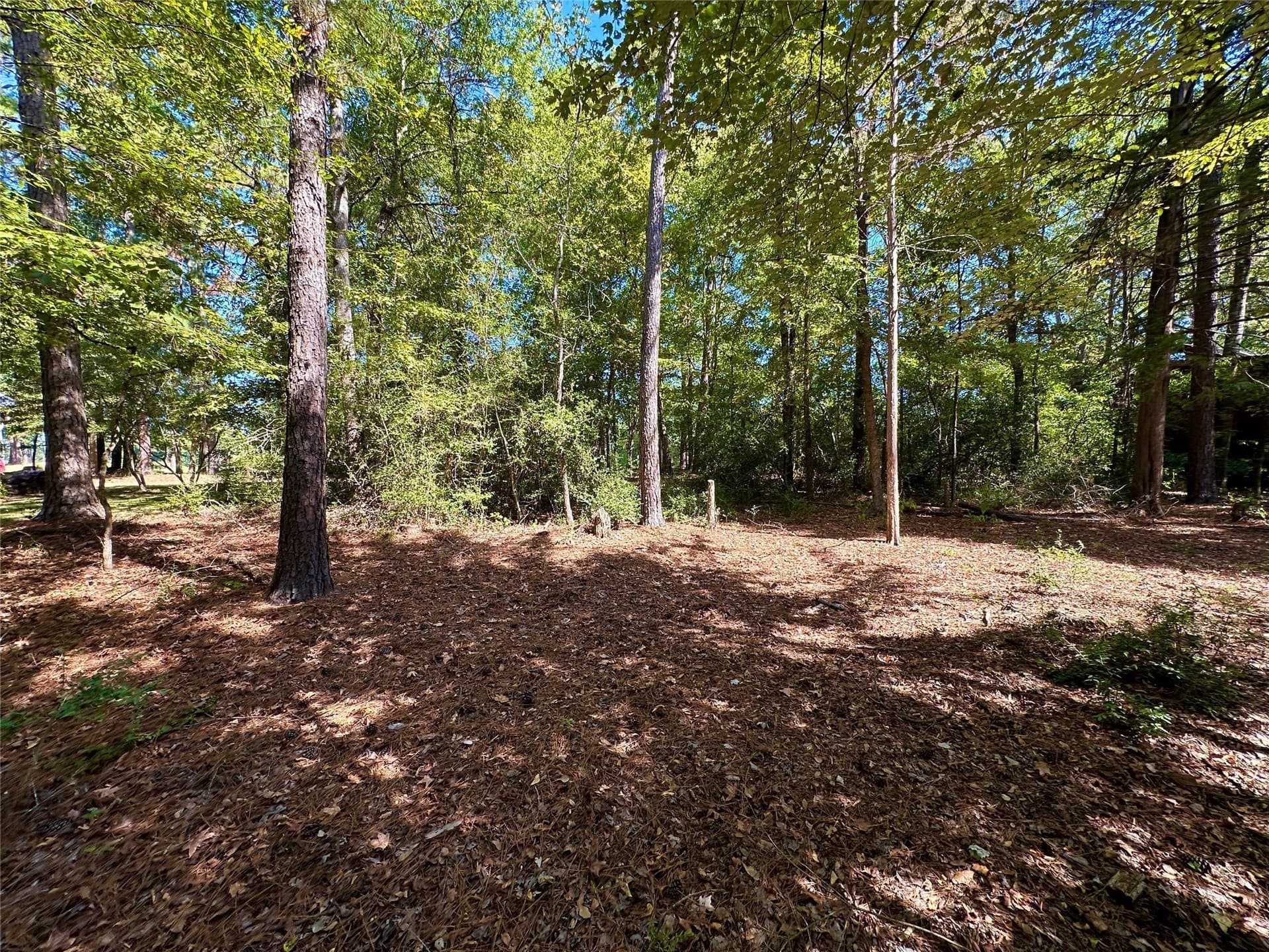 0.37 acres in Wood County - photo 9