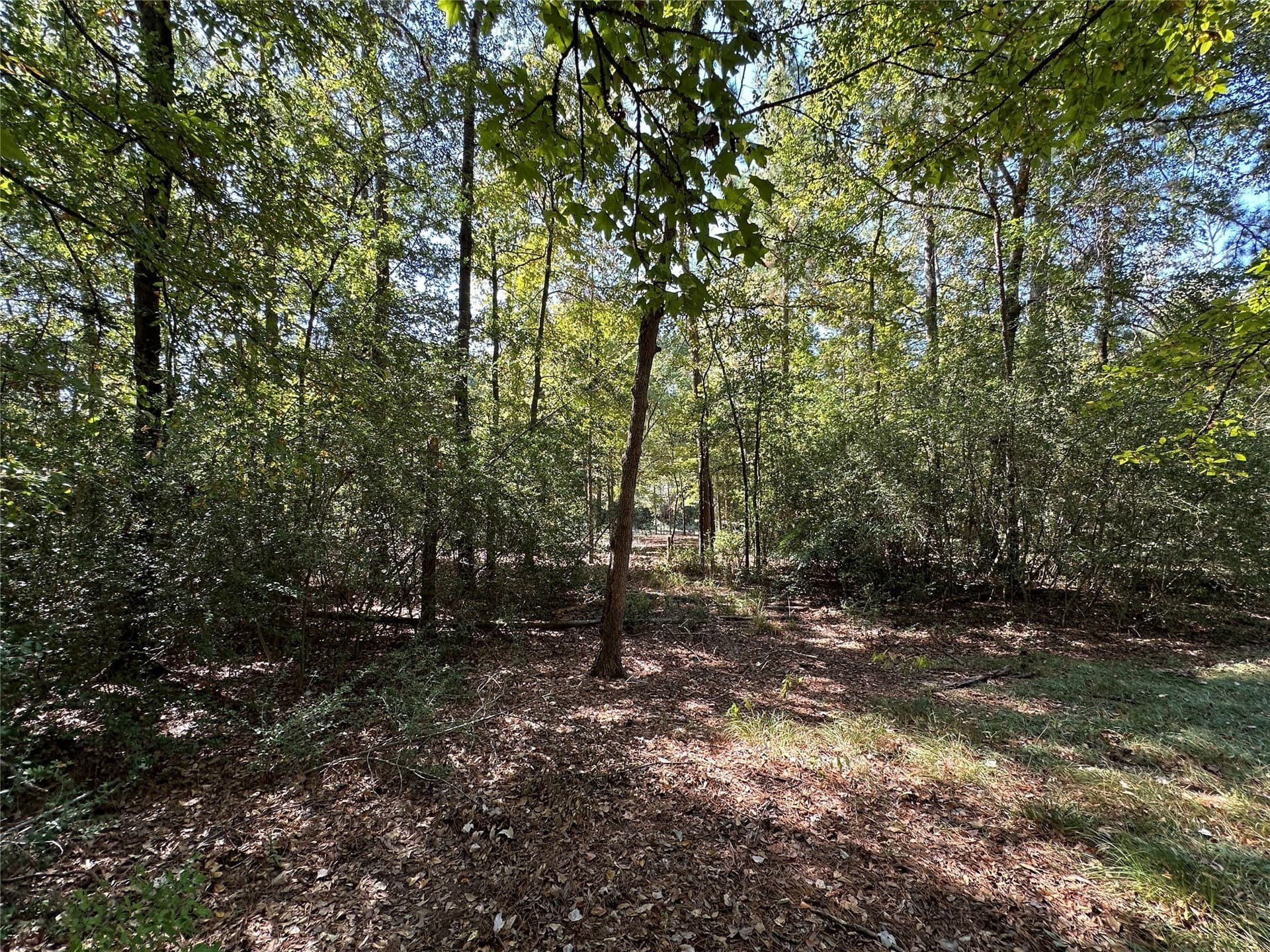 0.37 acres in Wood County - photo 22
