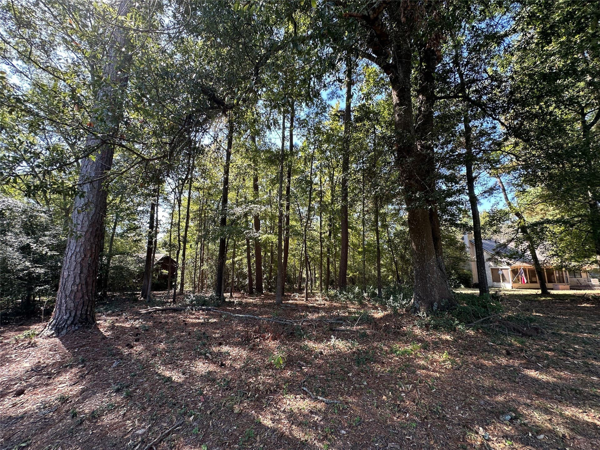 0.37 acres in Wood County - photo 19