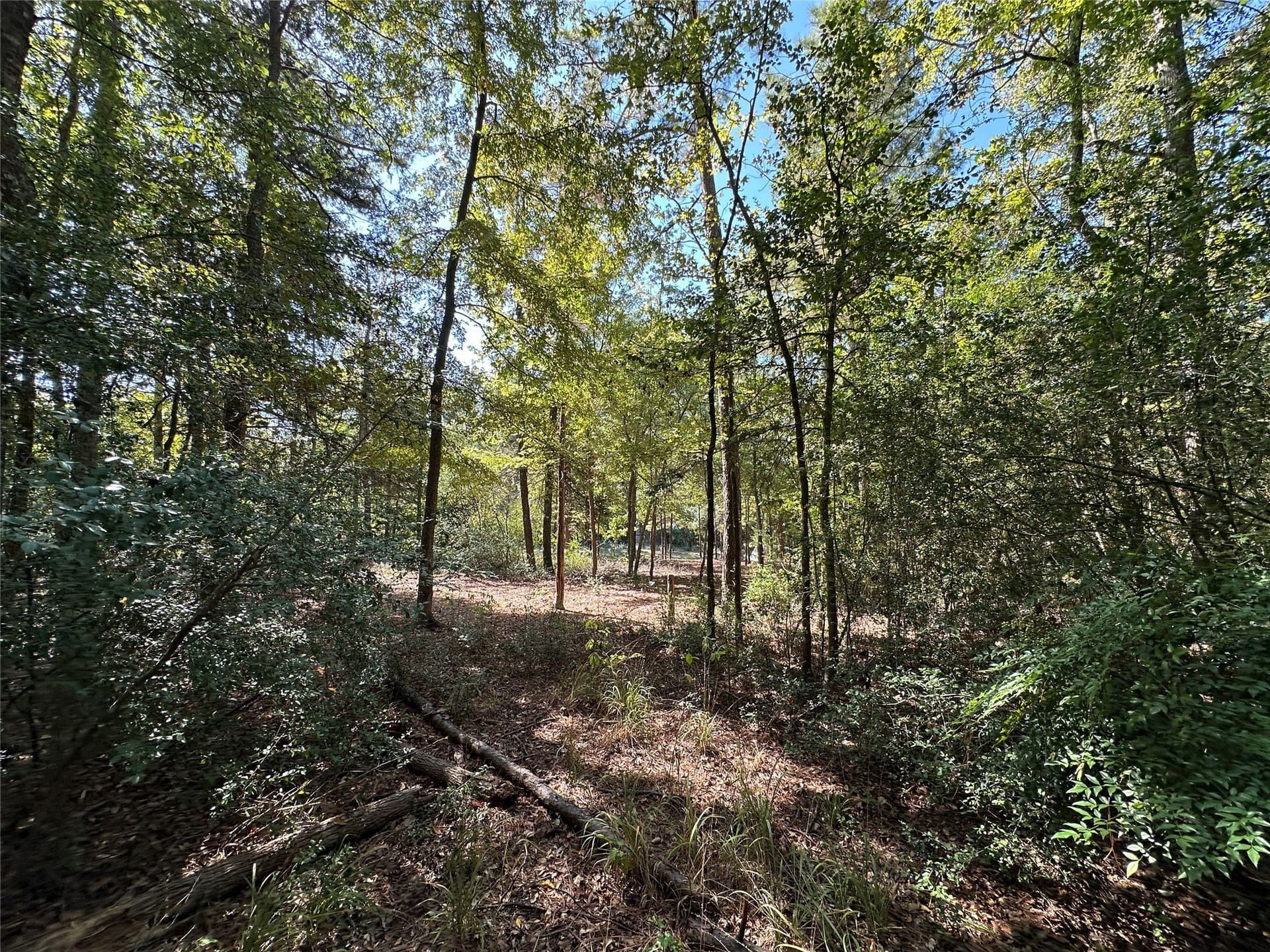 0.37 acres in Wood County - photo 13