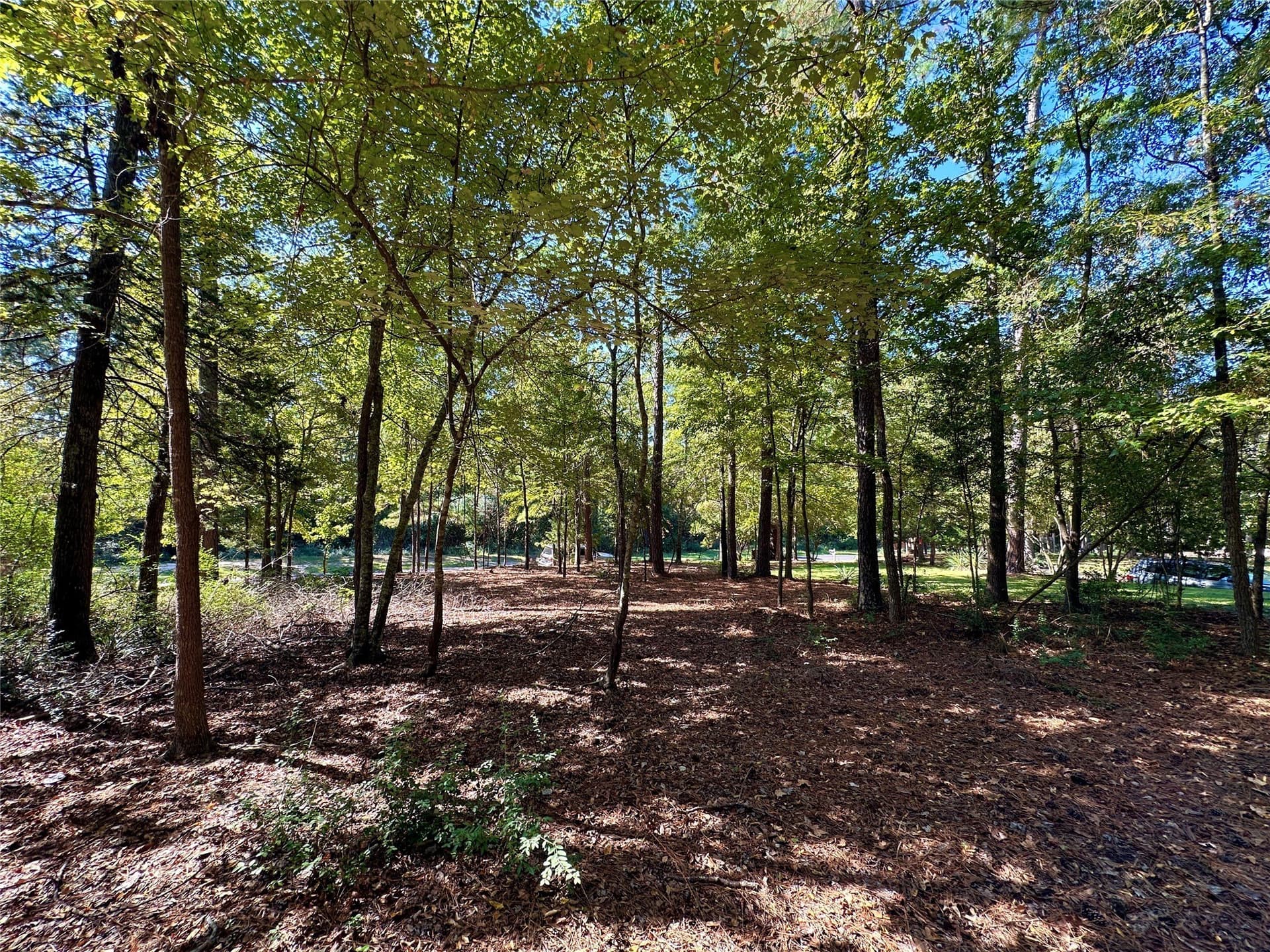 0.37 acres in Wood County - photo 11