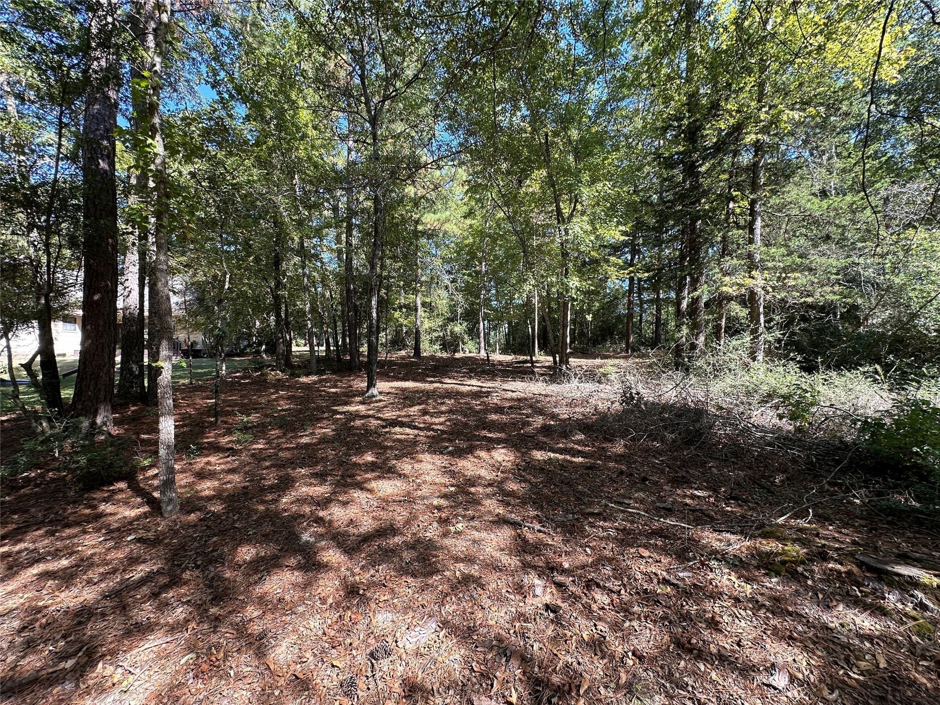 0.37 acres in Wood County - photo 5