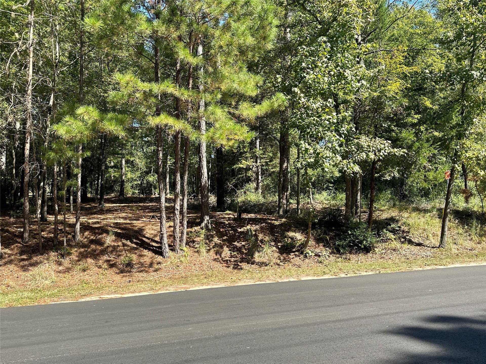 0.37 acres in Wood County - photo 35