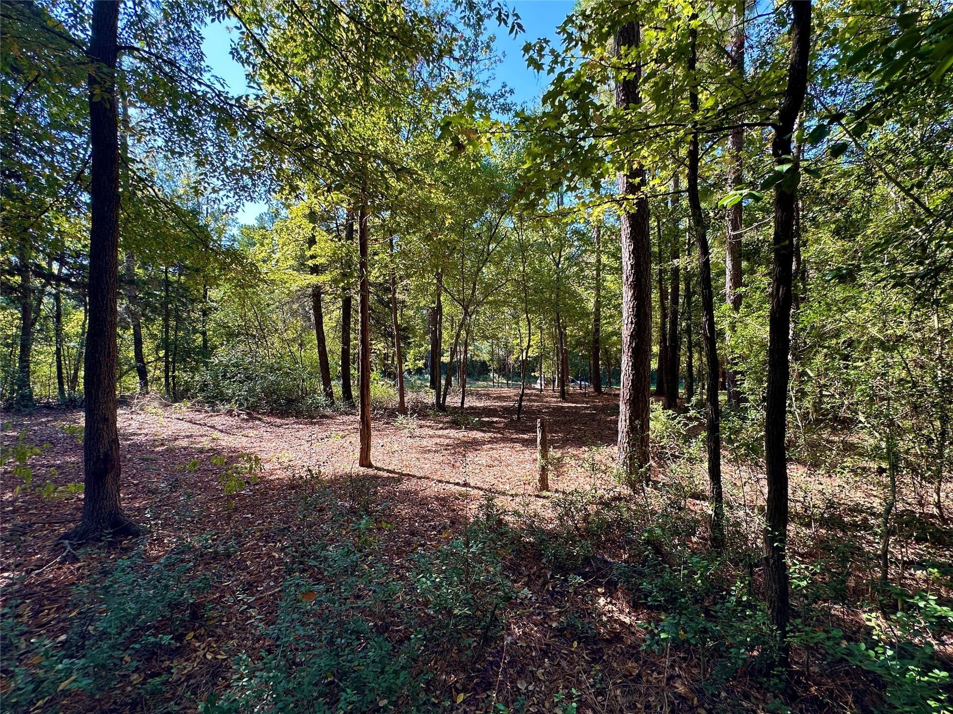 0.37 acres in Wood County - photo 27