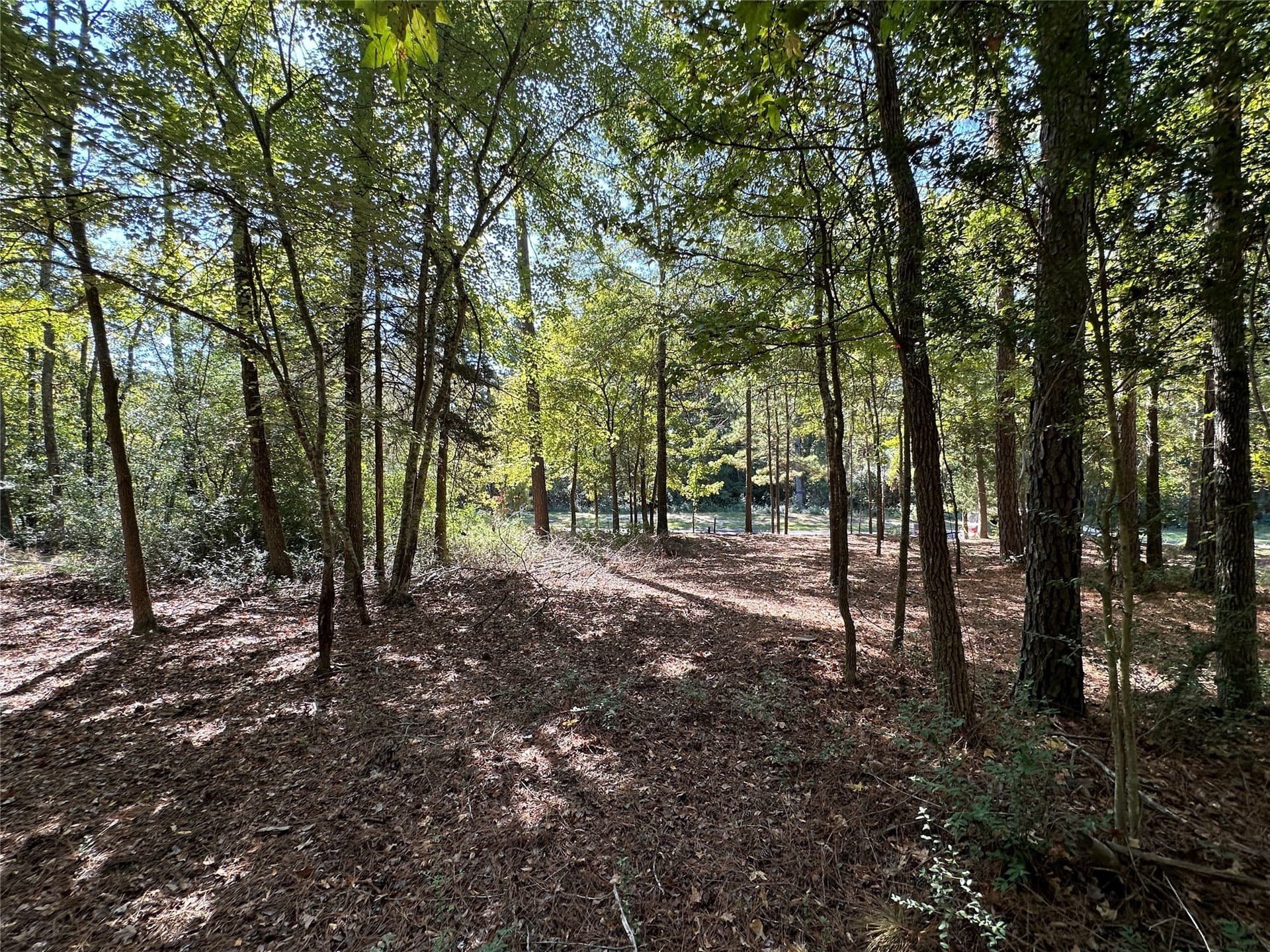 0.37 acres in Wood County - photo 28