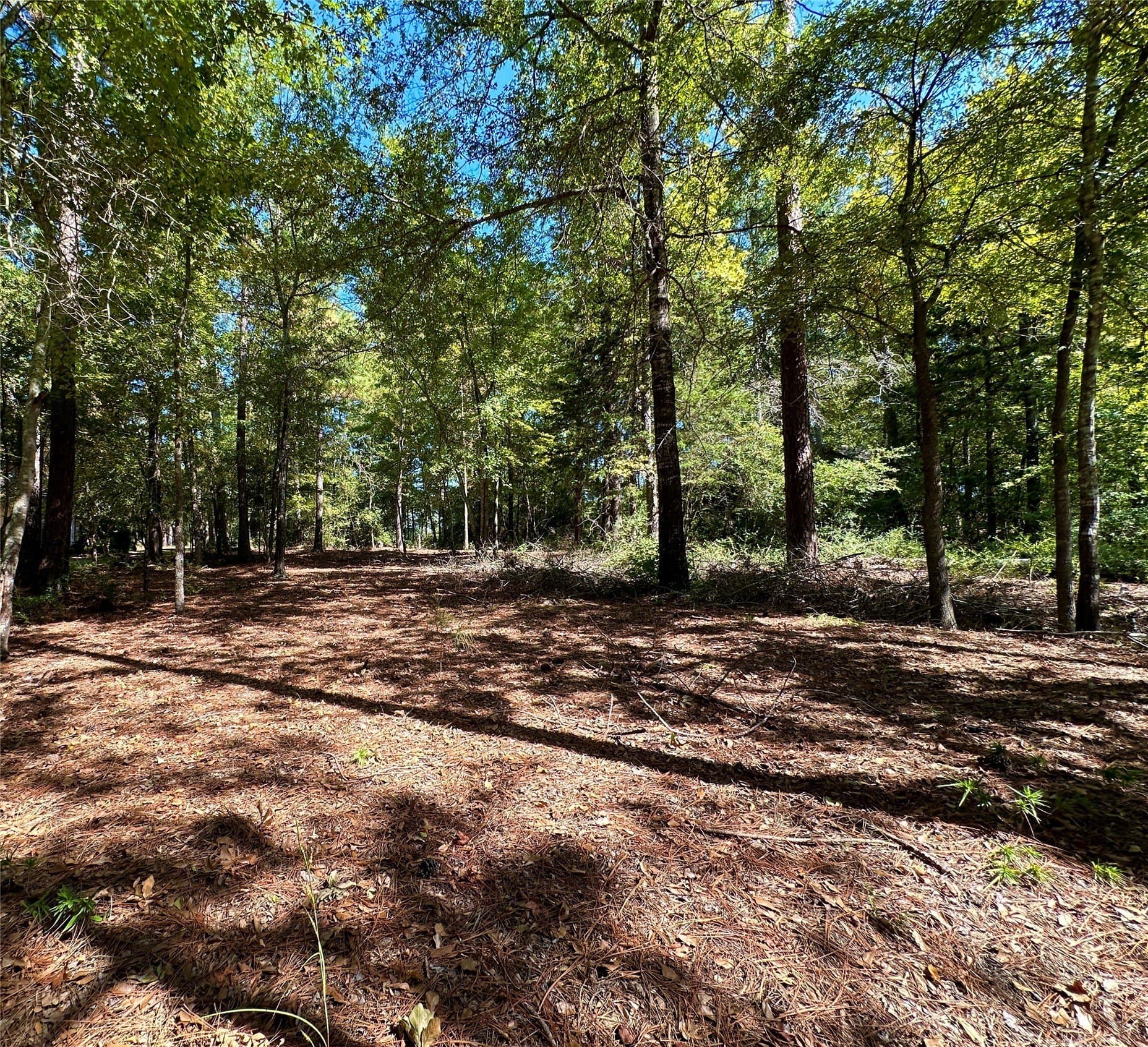 0.37 acres in Wood County - photo 32