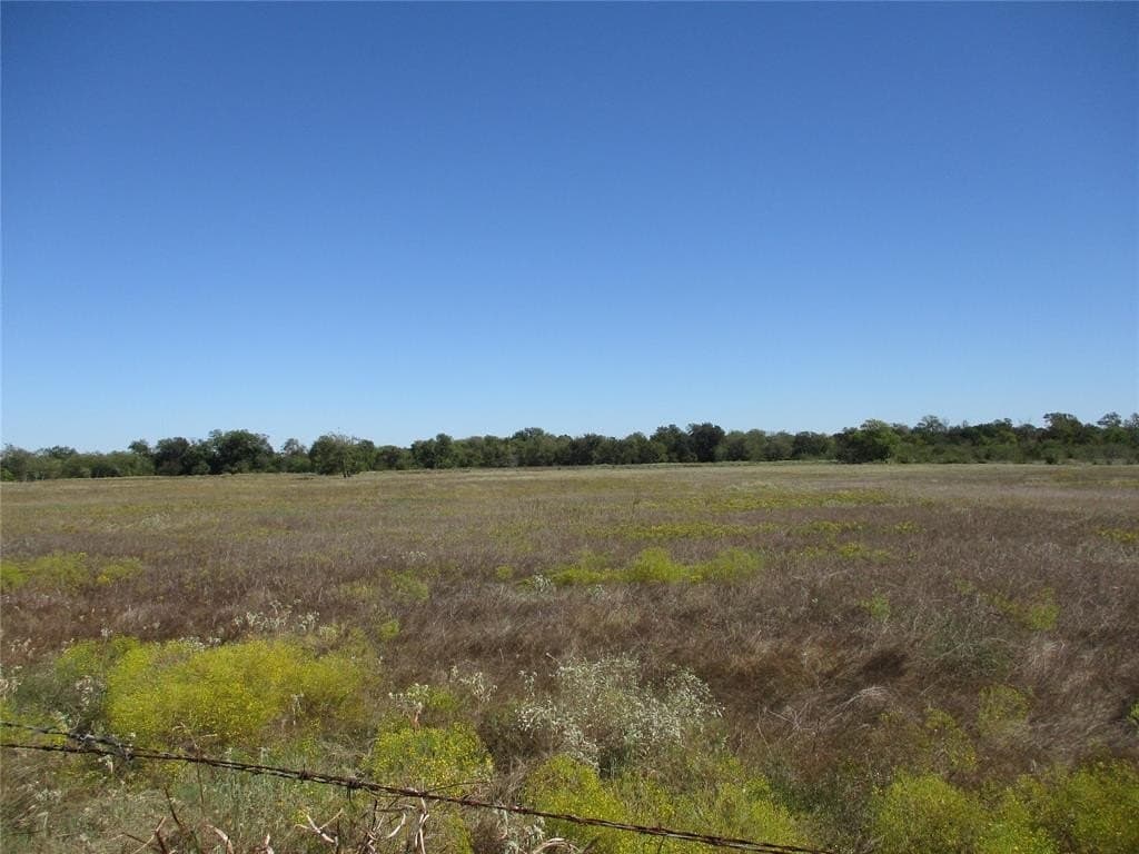 20.35 acres in Rains County gallery image 3