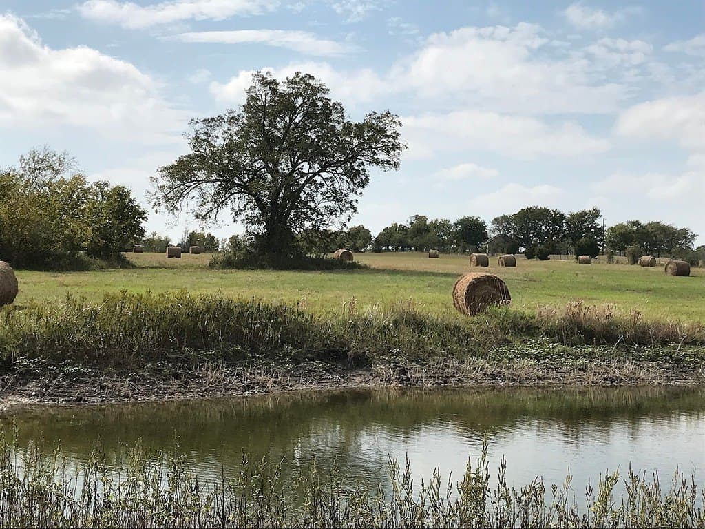 21.94 acres in Fayette County - photo 23