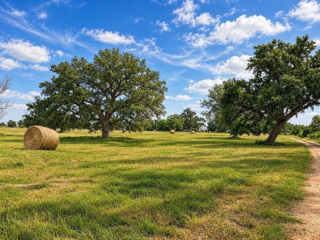 21.94 acres in Fayette County - photo 21